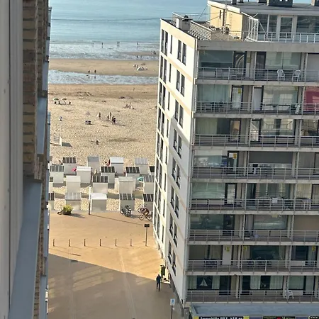 'salt, Near The Sea Ostende